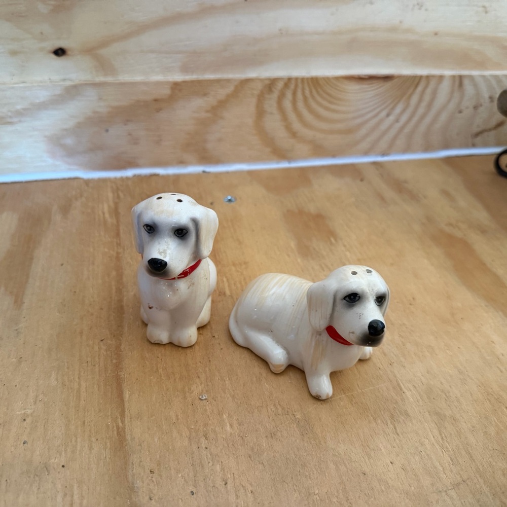 Pioneer woman mini Glass Jars Set & dog shakers - Picture 4 of 5